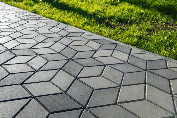 Best Local Driveway Pavers  in Genoa, IL